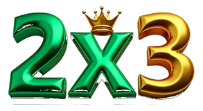 2x3